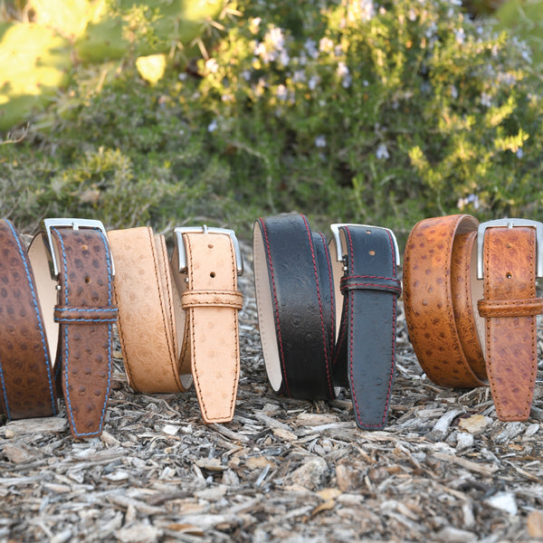 Italian Calf Skin Ostrich Belt Italian Calf Skin Ostrich Belt